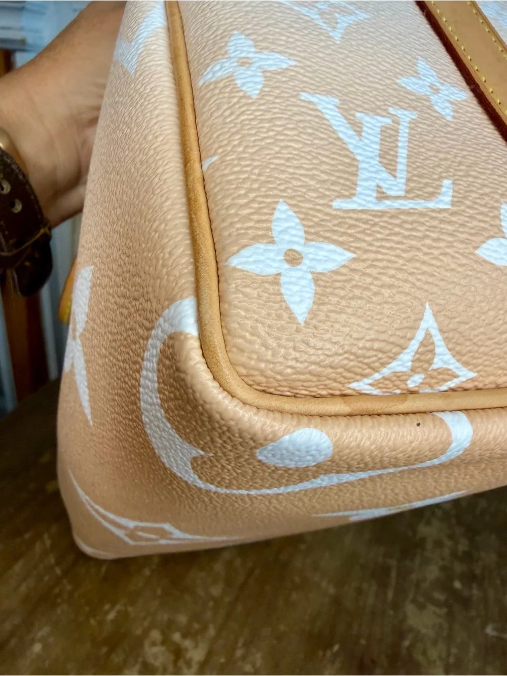 Louis Vuitton Speedy 25 By the Pool in Mist Speedy Bandoulière
